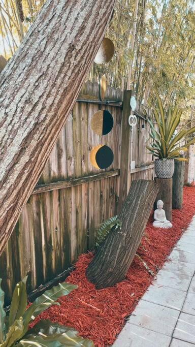 Peaceful Studio Clearwater Beach מראה חיצוני תמונה